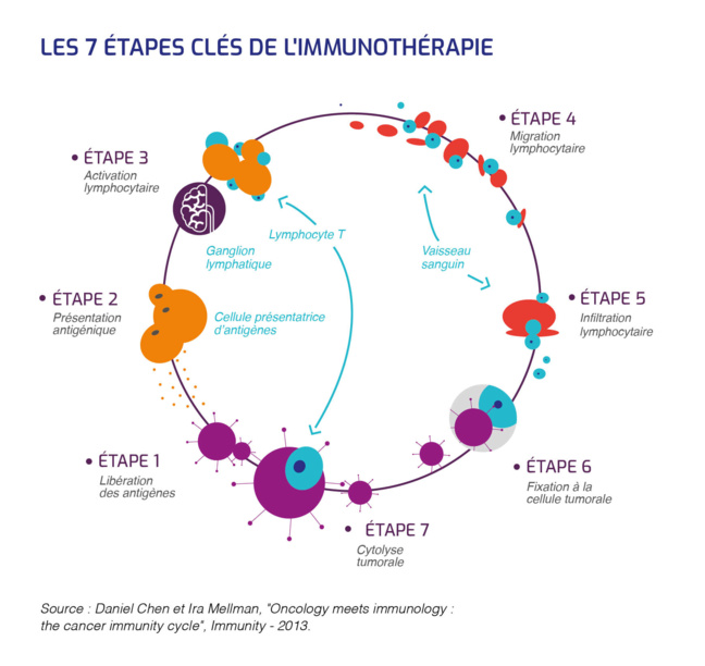 Une approche originale d’immunothérapie