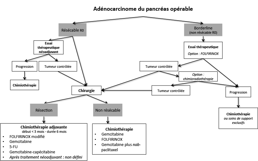 Cancer du pancréas : l’inhibition de l’angiotensine est associée à un bénéfice de survie significatif