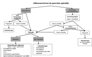 Cancer du pancréas : l’inhibition de l’angiotensine est associée à un bénéfice de survie significatif